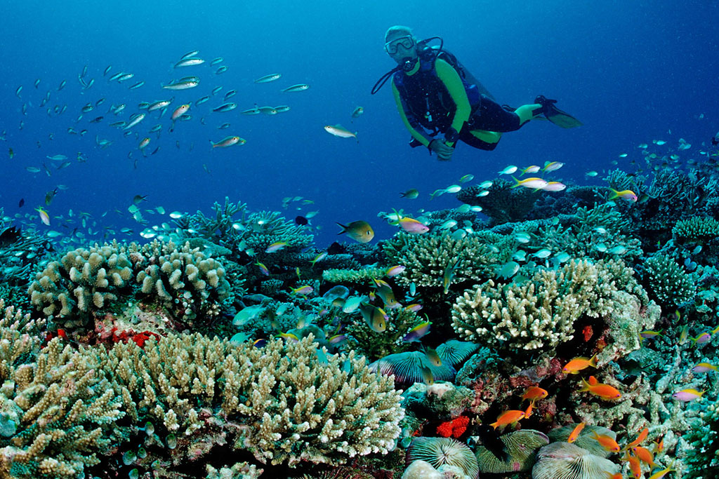 Maldives Underwater Sports Deep Diving